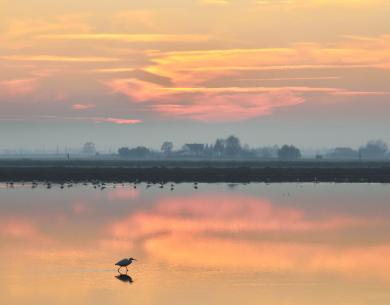 hotel-condor it salina-di-cervia-1000-anni-di-storia-e-tradizioni 012